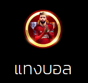 finfinblox